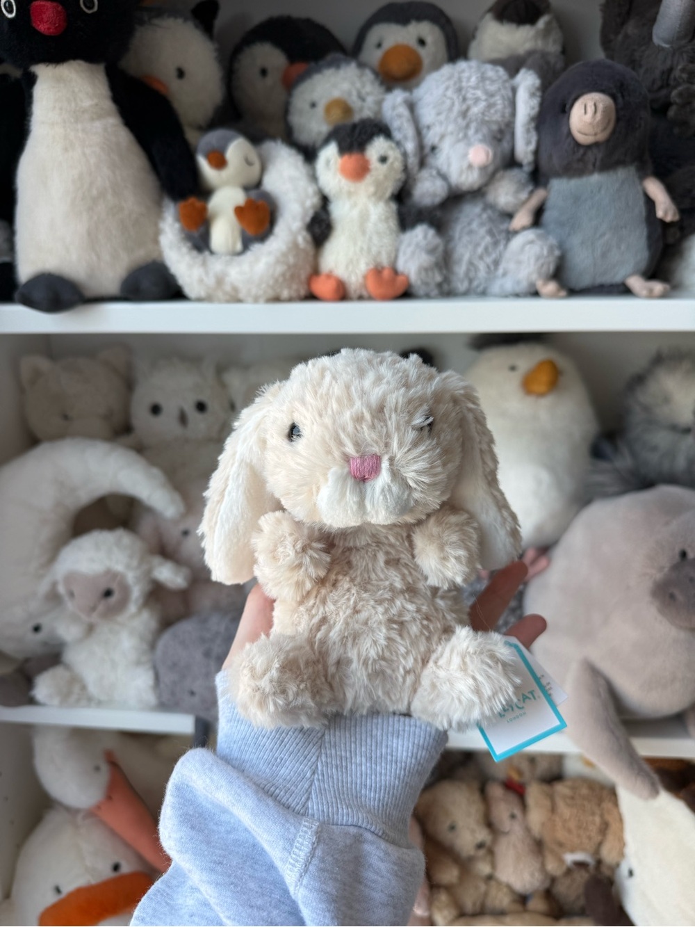NWT Jellycat Yummy Bunny